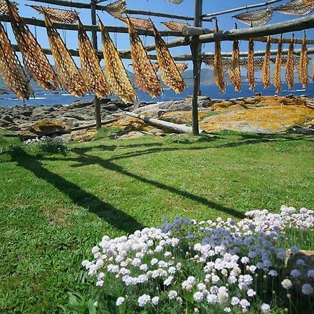 Apartamento Faro Muxia Exteriör bild
