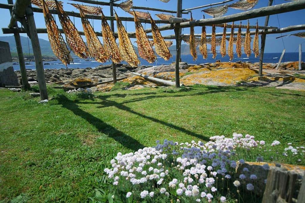 Apartamento Faro Muxia Exteriör bild